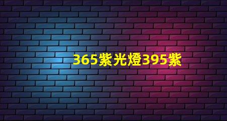 365紫光燈395紫光燈的區(qū)別揭示兩者光譜特性差異