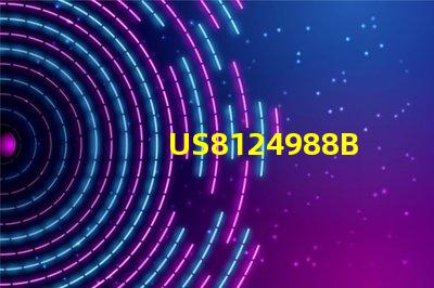 US8124988B2專利全球戰(zhàn)略與地域布局分析