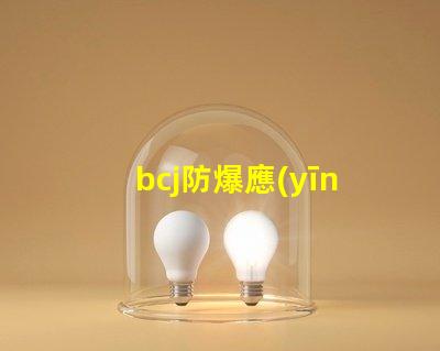 bcj防爆應(yīng)急燈提升安全性的關(guān)鍵照明方案