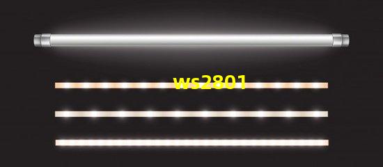 ws2801
