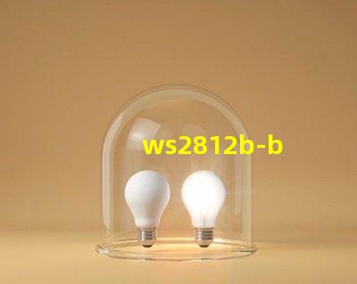 ws2812b-b