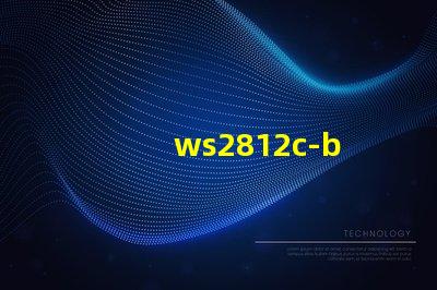 ws2812c-b