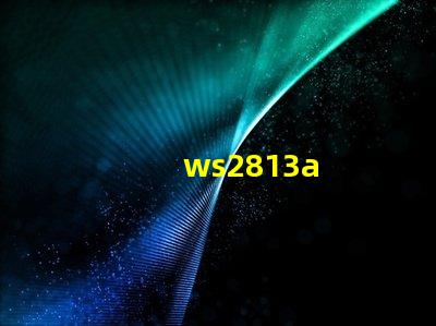 ws2813a