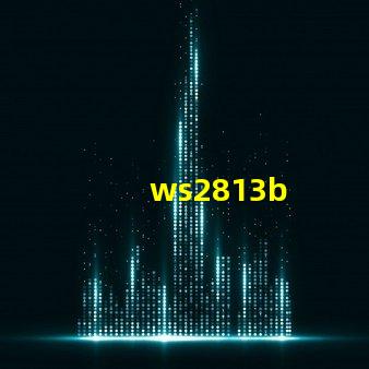 ws2813b