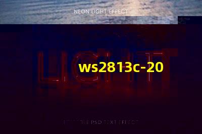 ws2813c-2020