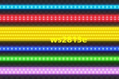 ws2813e