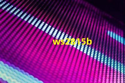 ws2815b
