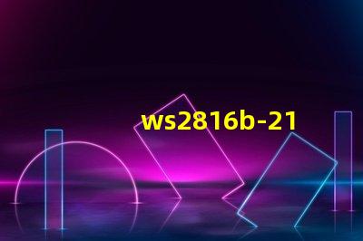 ws2816b-2121