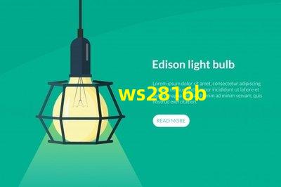 ws2816b