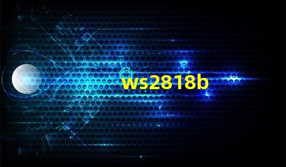 ws2818b