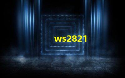 ws2821