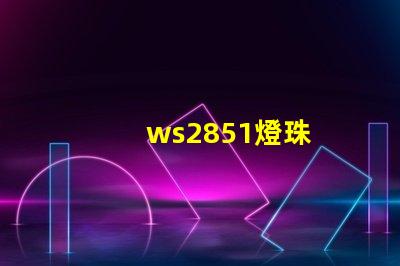 ws2851燈珠