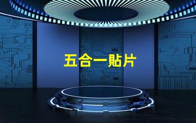 五合一貼片