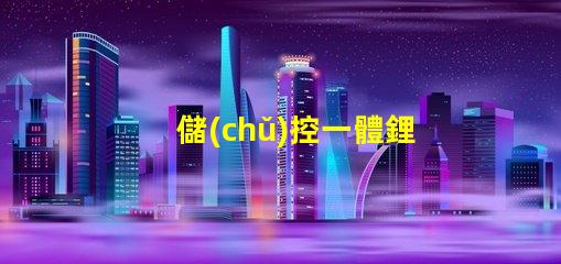 儲(chǔ)控一體鋰電池路燈智慧照明解決方案的未來(lái)趨勢(shì)