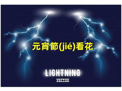 元宵節(jié)看花燈作文探索傳統(tǒng)文化的魅力與意義