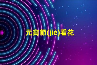 元宵節(jié)看花燈探索獨(dú)特花燈創(chuàng)造的節(jié)日魅力