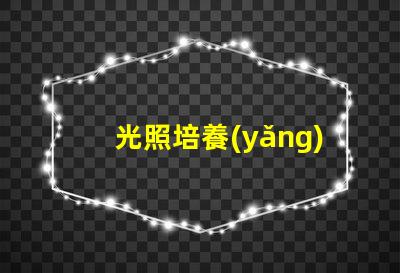 光照培養(yǎng)箱提高植物生長效率的關鍵設備