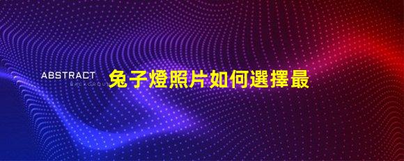 兔子燈照片如何選擇最適合您的兔子燈設計
