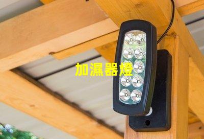 加濕器燈