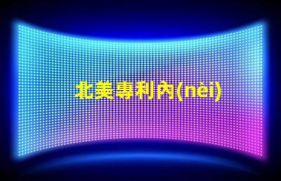 北美專利內(nèi)置ic燈珠