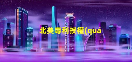 北美專利授權(quán)2121燈珠us8124988b2專利技術(shù)詳解,為何備受行業(yè)青睞