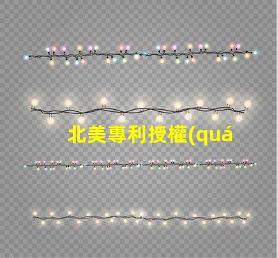 北美專利授權(quán)4018燈珠us8124988b2核心技術(shù)揭秘