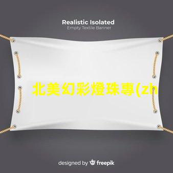 北美幻彩燈珠專(zhuān)利商業(yè)模式創(chuàng)新與市場(chǎng)調(diào)整,如何應(yīng)對(duì)全球市場(chǎng)挑戰(zhàn)