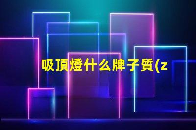 吸頂燈什么牌子質(zhì)量好又實(shí)惠優(yōu)質(zhì)與經(jīng)濟(jì)性的完美平衡
