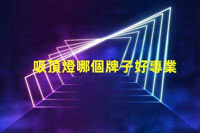 吸頂燈哪個牌子好專業(yè)評測的品牌推薦,助您挑選最佳選項
