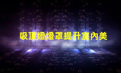 吸頂燈燈罩提升室內美感的最佳選擇