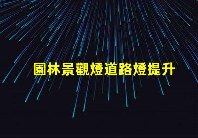 園林景觀燈道路燈提升城市夜景的理想選擇