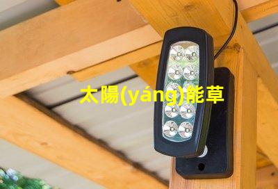 太陽(yáng)能草坪燈多少錢探尋草坪照明的經(jīng)濟(jì)性