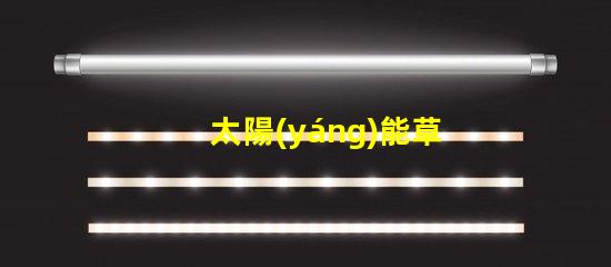 太陽(yáng)能草坪燈景觀燈提升戶(hù)外美感的智能照明解決方案