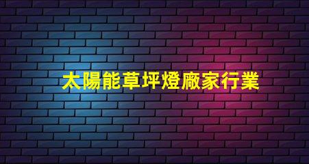 太陽能草坪燈廠家行業(yè)領(lǐng)先的太陽能燈具供應(yīng)商