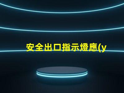 安全出口指示燈應(yīng)急燈如何選擇高效能應(yīng)急照明解決方案