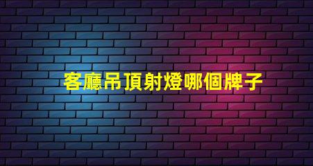客廳吊頂射燈哪個牌子好市場上最受歡迎射燈品牌解析