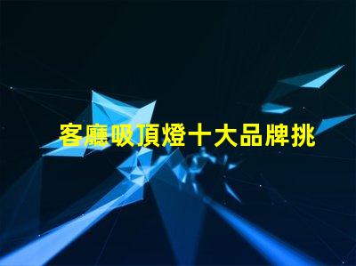 客廳吸頂燈十大品牌挑選優(yōu)質(zhì)品牌的實用指南