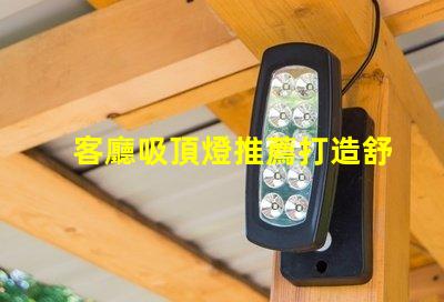 客廳吸頂燈推薦打造舒適氛圍的燈具選擇