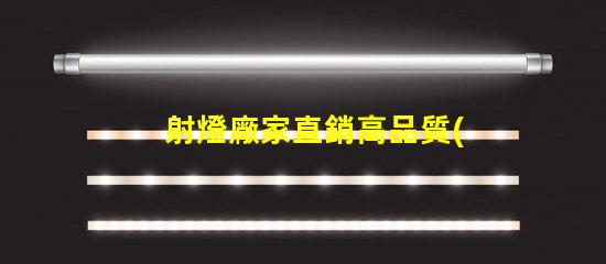 射燈廠家直銷高品質(zhì)照明解決方案的最佳選擇嗎