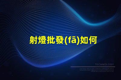 射燈批發(fā)如何選擇高性價(jià)比的射燈批發(fā)商