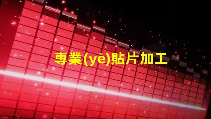 專業(yè)貼片加工廠高效生產(chǎn)與質(zhì)量保障揭秘