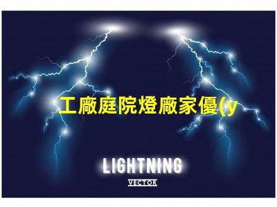 工廠庭院燈廠家優(yōu)質(zhì)照明解決方案的選擇