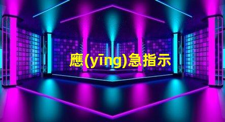 應(yīng)急指示燈電源確保安全的選擇與選購指南