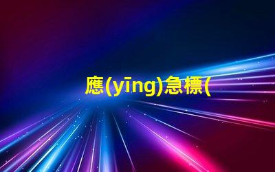 應(yīng)急標(biāo)志燈提升安全性的重要選擇