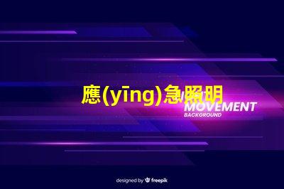 應(yīng)急照明分配電裝置保障安全的關(guān)鍵解決方案