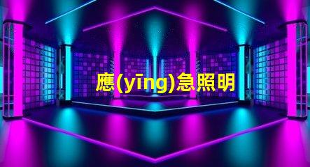 應(yīng)急照明和疏散指示提升安全性的重要設(shè)施解析