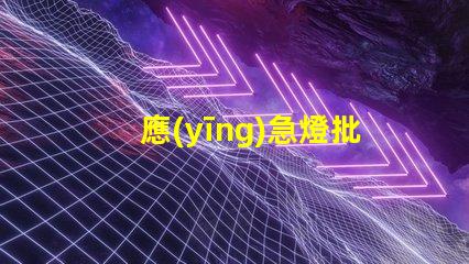 應(yīng)急燈批發(fā)高效供應(yīng)鏈助力企業(yè)節(jié)省成本