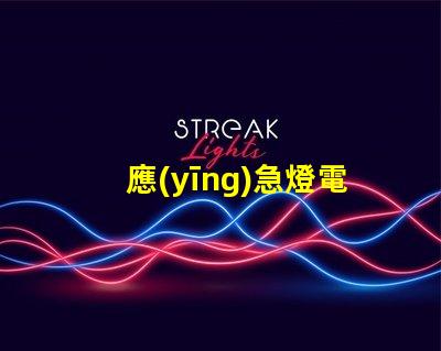 應(yīng)急燈電源價格行業(yè)內(nèi)最具競爭力的報價揭秘