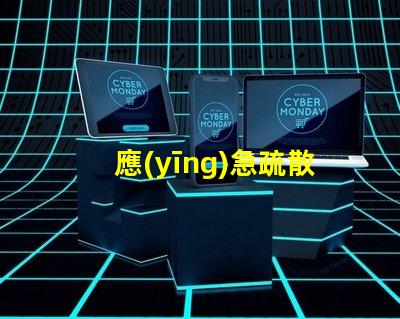 應(yīng)急疏散系統(tǒng)提升安全效率的關(guān)鍵技術(shù)是什么