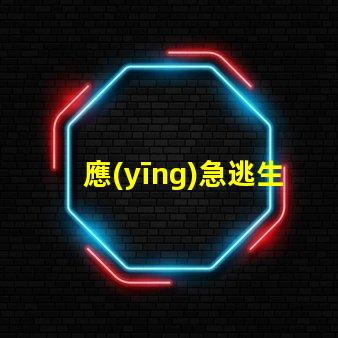 應(yīng)急逃生指示燈關(guān)鍵時(shí)刻的安全指示燈設(shè)計(jì)與應(yīng)用